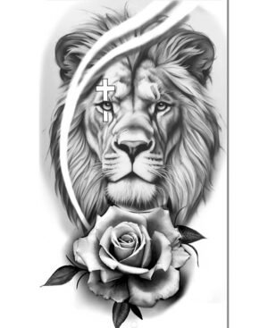 decalques 0009 whatsapp image 2026 01 09 at 12.53.23 (1)