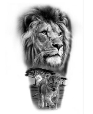 decalques 0032 whatsapp image 2026 01 09 at 12.53.14 (1)