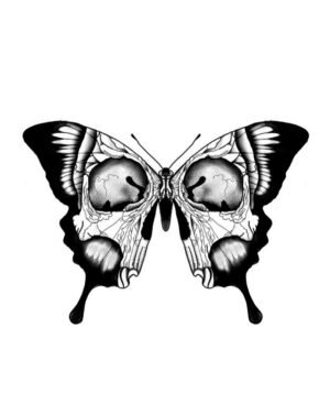 decalques 0035 whatsapp image 2026 01 09 at 12.53.12