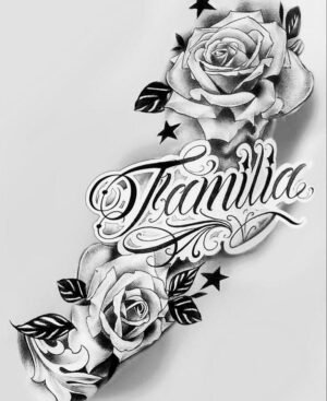 decalques 0055 whatsapp image 2026 01 09 at 12.53.05