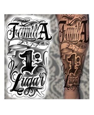 decalques 0056 camada 9